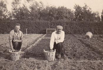 planttijd in de bollenstreek